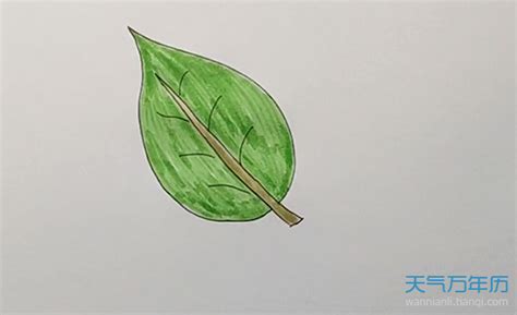 如何绘制树叶简笔画 2