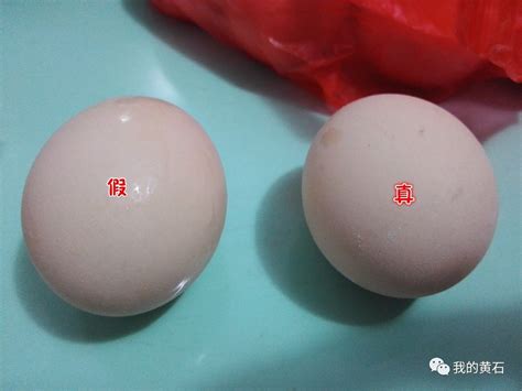 真假鸡蛋鉴别技巧：你不可不知的辨别方法 1