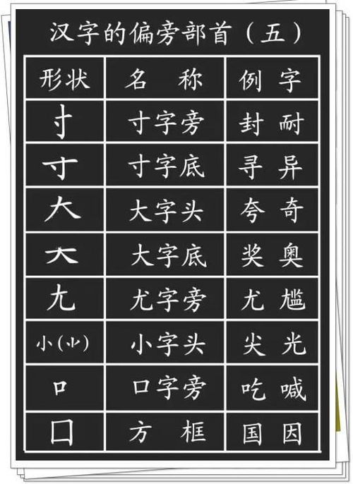 掌握学字的标准笔顺 4