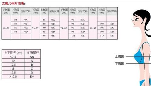 如何正确测量女性胸围并了解标准尺码？ 4