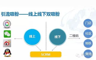 新媒体运营：揭秘高效推广的绝妙策略 4