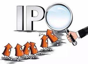 IPO 是什么？解析蚂蚁庄园中的‘IPO’概念 4