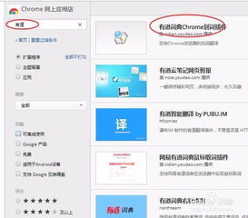 Win10用户必看！轻松下载安装Chrome浏览器的全攻略 2