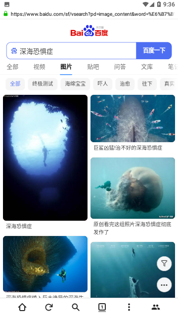 金桔社交浏览器app