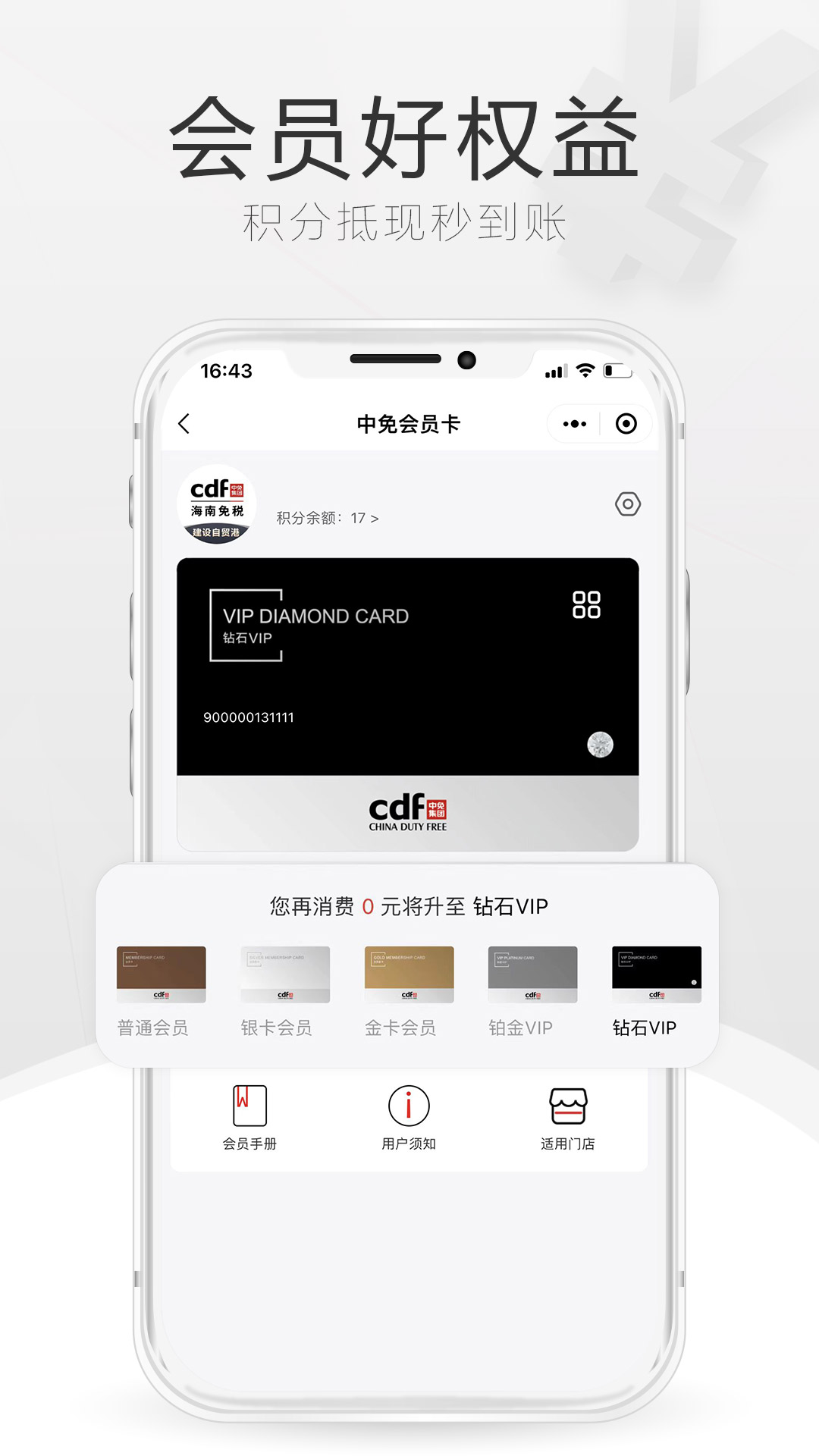 中免海南2025