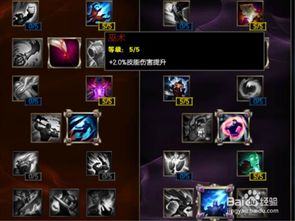 S5赛季炼金术士辛吉德符文天赋怎么加点？ 2