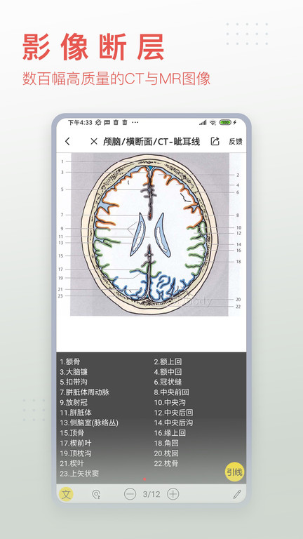 3dbody解剖图