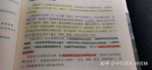 批注的准确定义是什么 2