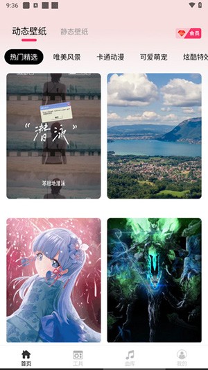 intolive免费版