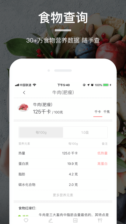 食物派