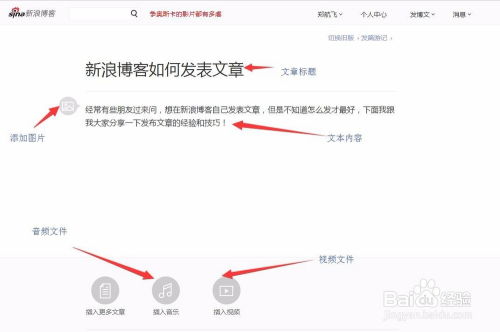 掌握新浪博客发文精髓：全方位技巧大揭秘 2