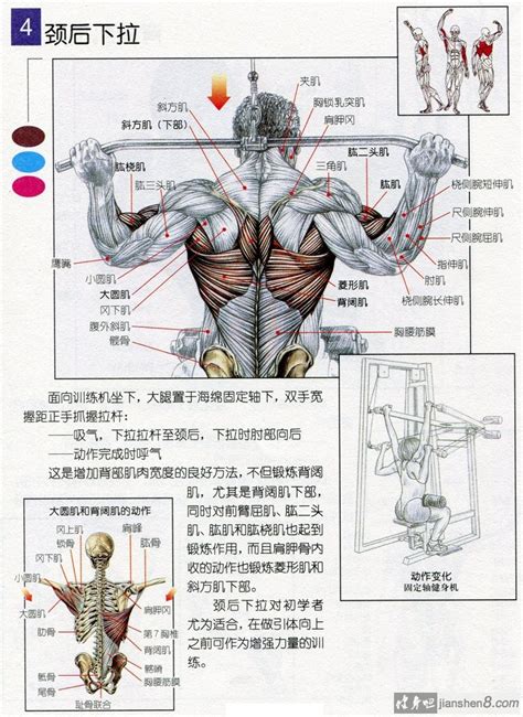 打造完美肌肉：高效锻炼秘籍 3