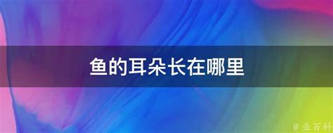 揭秘：鱼儿的耳朵究竟隐藏在哪里？ 2