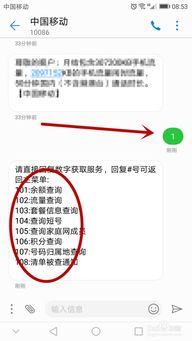 中国移动手机号流量余额怎么查询？ 2