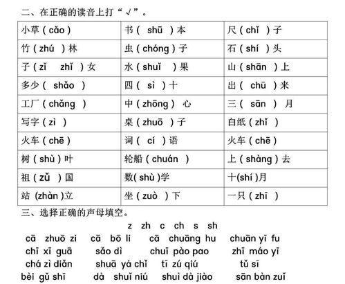 平舌音具体包含哪些拼音 1