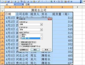 Excel高效技巧：轻松掌握分类汇总的使用方法 2