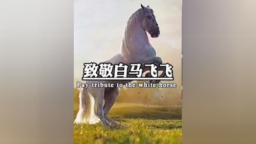 揭秘！'白马非马'背后的通俗含义，你真的理解吗？ 3