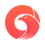 极鹰浏览器官方版