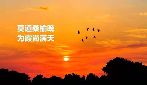 揭秘“莫道桑榆晚”的深层含义 3