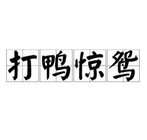 探寻“鸳”字成语大全 4