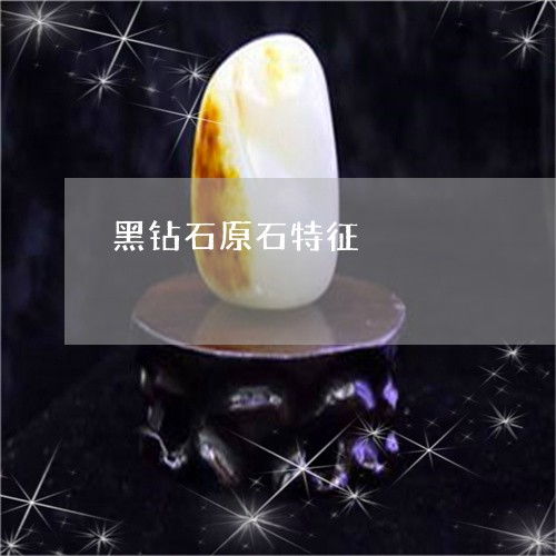 如何鉴别黑钻石原石 4