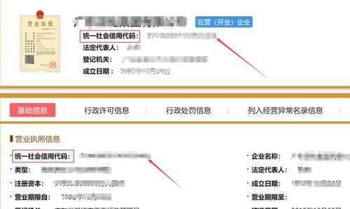 想知道如何轻松查询统一社会信用代码？一键解锁查询秘籍！ 1