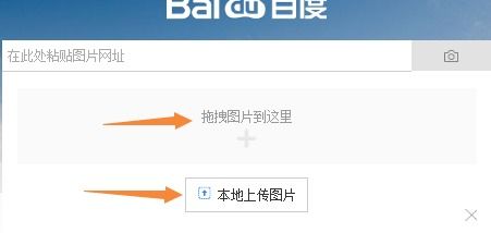 掌握百度图片搜索秘籍：轻松找到你想要的任何美图 2