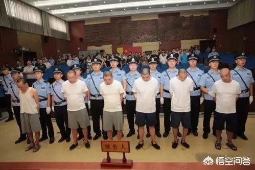 遇到小偷行窃，瓜农勇敢喝止却不幸遇刺身亡，该如何应对？ 2