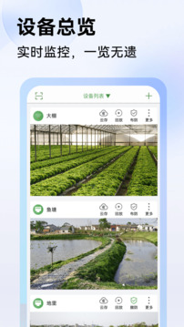 seetong监控软件