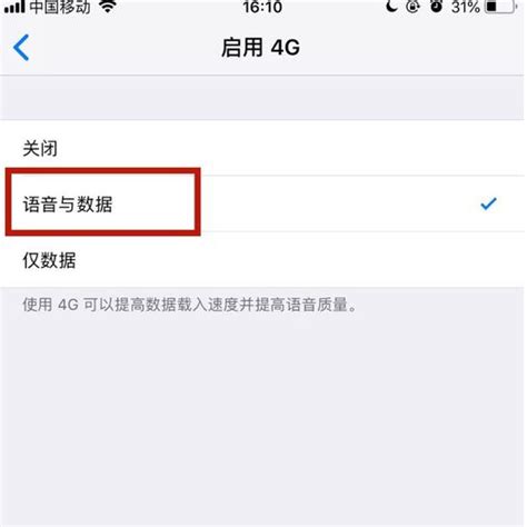 苹果手机4G网络设置全攻略 3