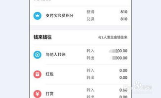 手机支付宝怎样查看每月的收入账单明细？ 1