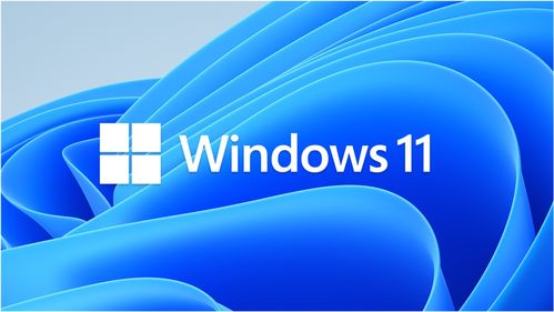 如何在Windows 11画图工具中使用填充功能添加红色 1