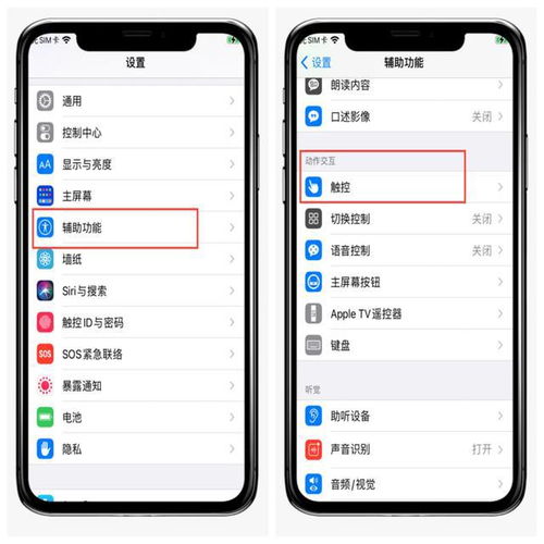 轻松学会：如何为iPhone设置轻点背面快捷功能 1