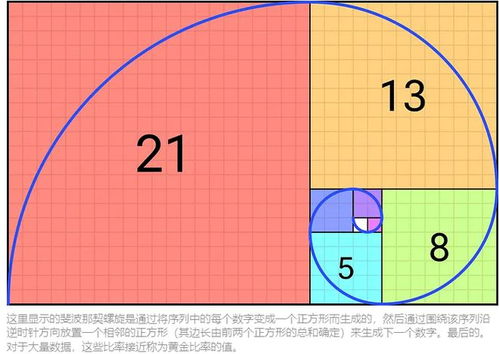 探索斐波那契数列：自然界的奇妙密码 3