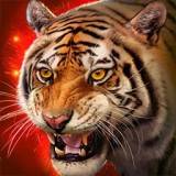老虎模拟狩猎3D v1.0