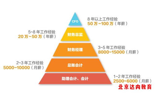 会计学：探索未来职场的璀璨“钱”途 1