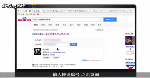 轻松掌握：网上查询顺丰快递的快捷方法 1