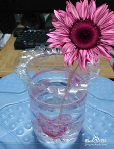 变废为宝：饮料瓶DIY高脚杯与花瓶教程 1