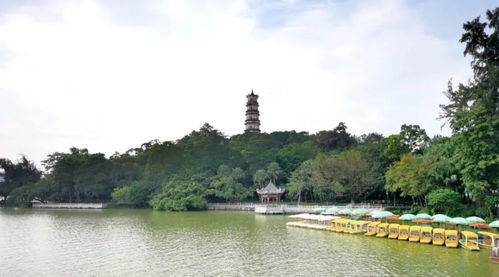 惠州西湖：超全游玩攻略，不容错过！ 4