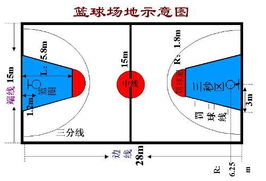 揭秘！标准篮球场尺寸与面积全知道，你打篮球的场地达标了吗？ 3