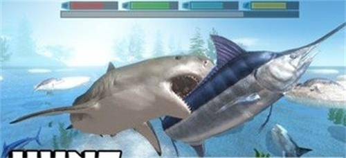 终极鲨鱼攻击