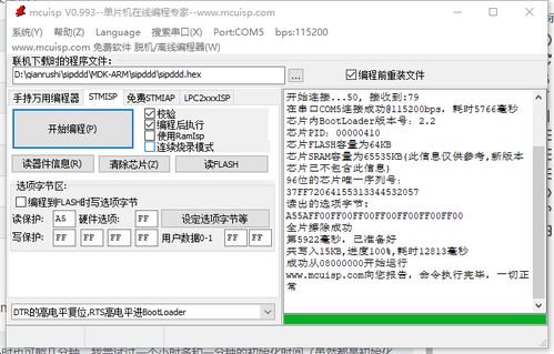 如何正确发音'fat'这个词的语音教程 1