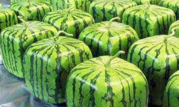 How to Say 'Watermelon' in English 2