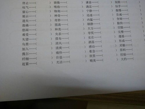 问答揭秘：探索近义词组合的无限可能，你知道多少种组合方式？ 2