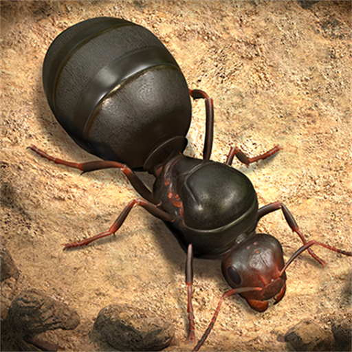 蚂蚁进化崛起 v1.0.5