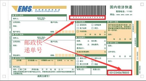 揭秘'EMS'：它背后的神秘含义与广泛应用，你了解多少？ 4