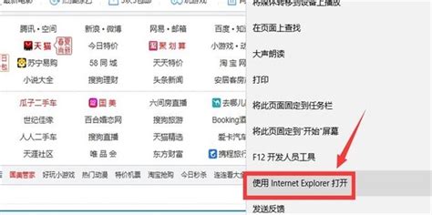 轻松学会！在Windows10 IE浏览器中查看网页源代码的方法 1