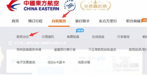 如何在网上查询航班实时动态？ 4