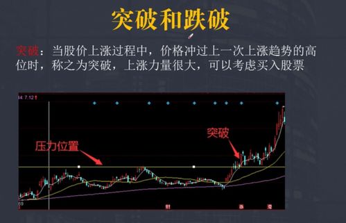 新手入门：网上购买股票指南 2