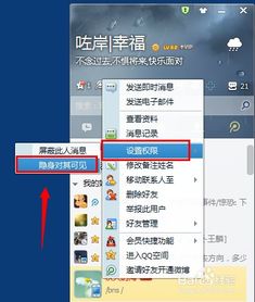 揭秘：如何巧妙设置QQ隐身状态，仅对特定好友显示在线 2